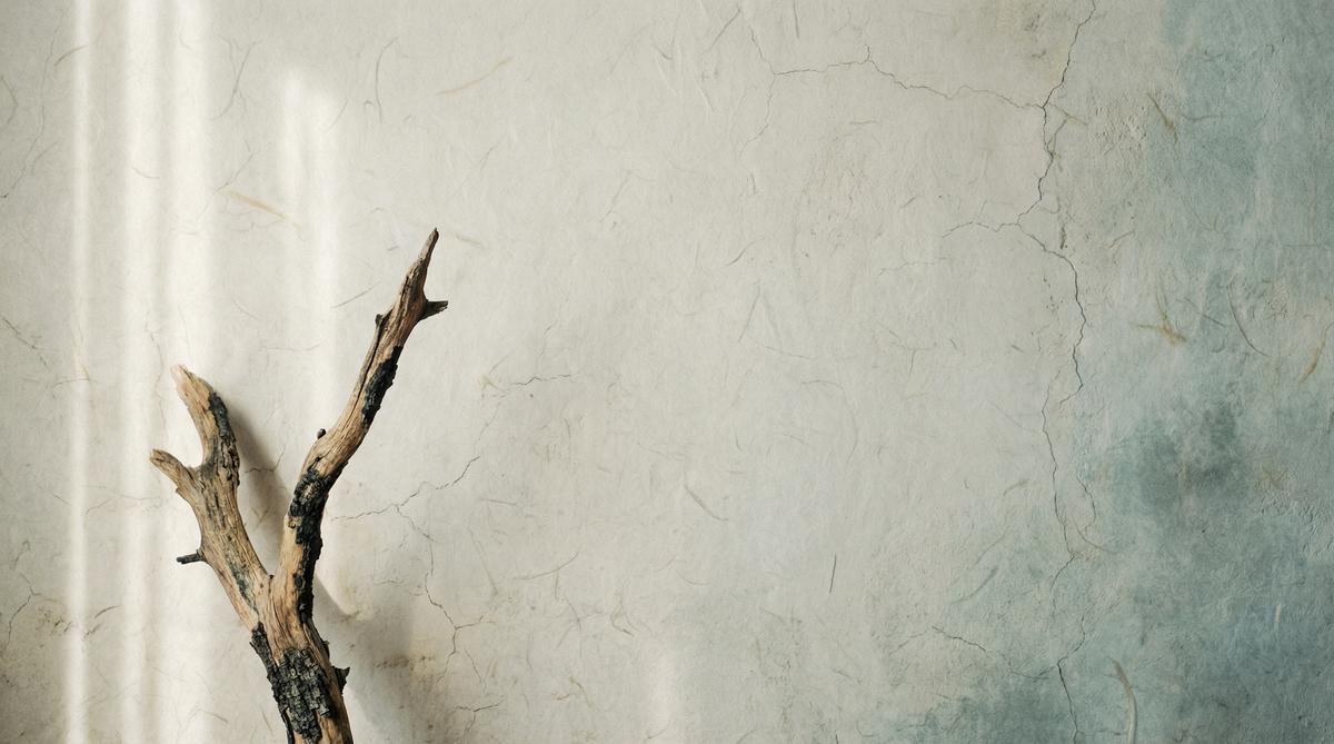 蘑菇视频侘寂禅意首屏大图-枯木光影自然质感